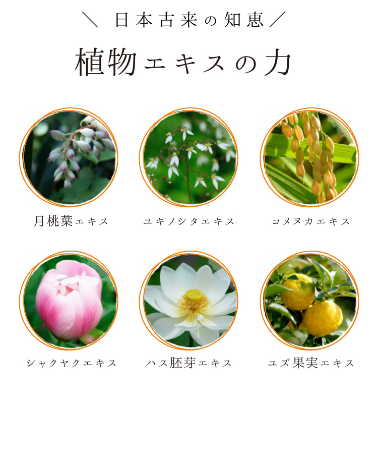 日本古来の植物エキスの力