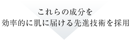 これらの成分を効率的に肌に届ける先進技術を採用